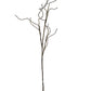 Curly Willow Branch 1.3m