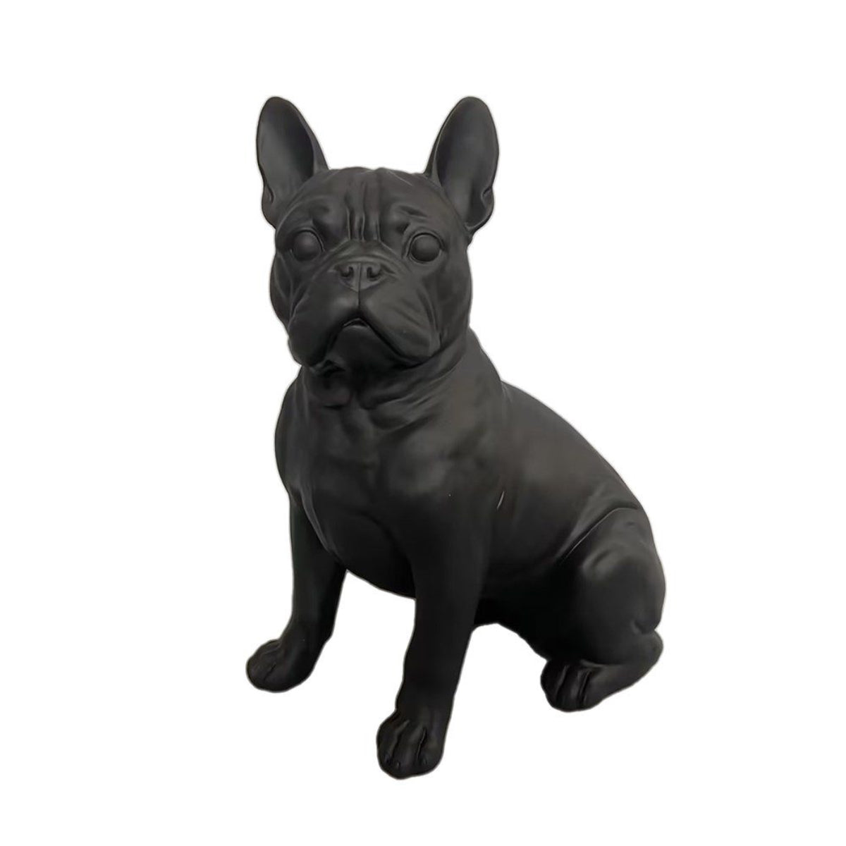 Classic French Bull Dog.