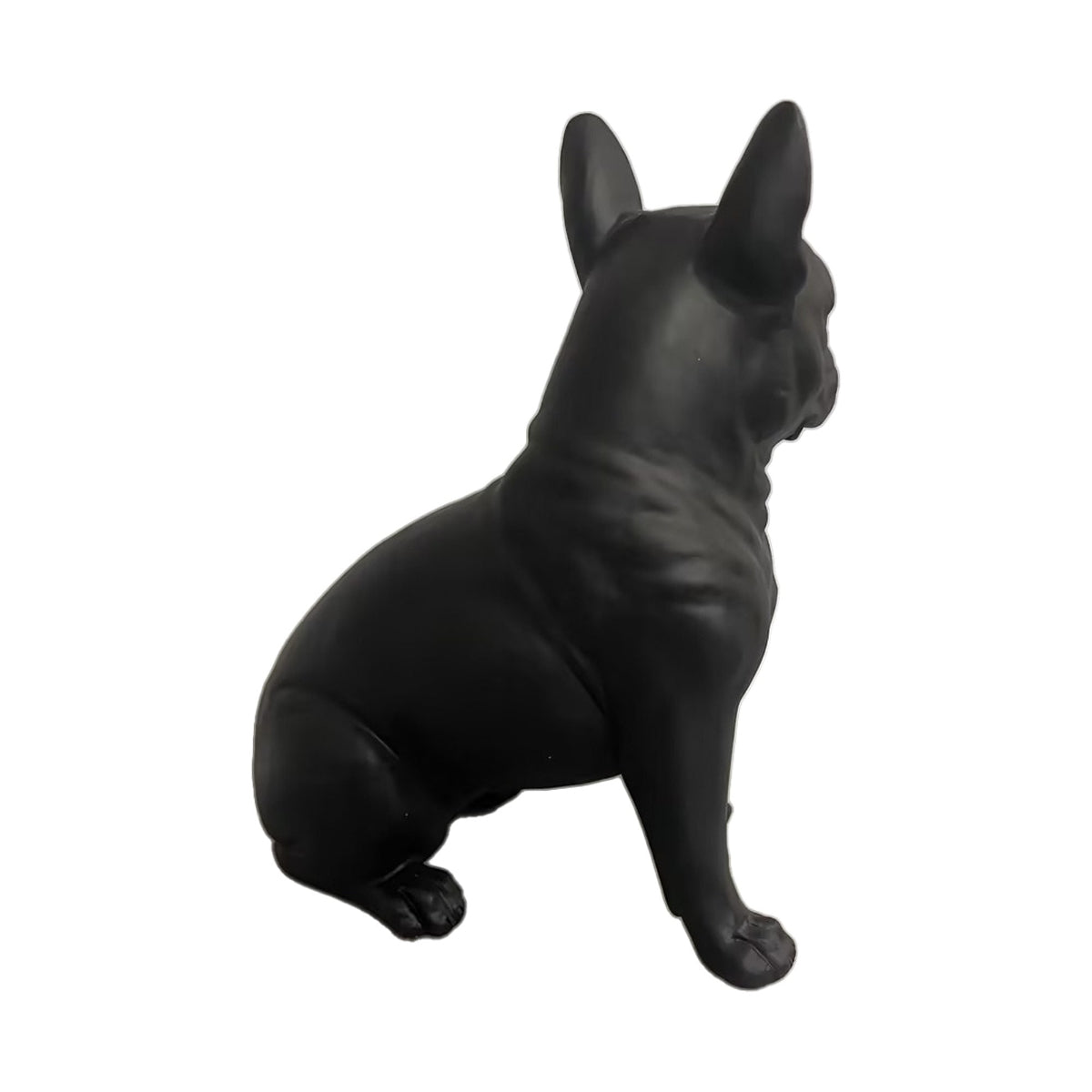 Classic French Bull Dog.