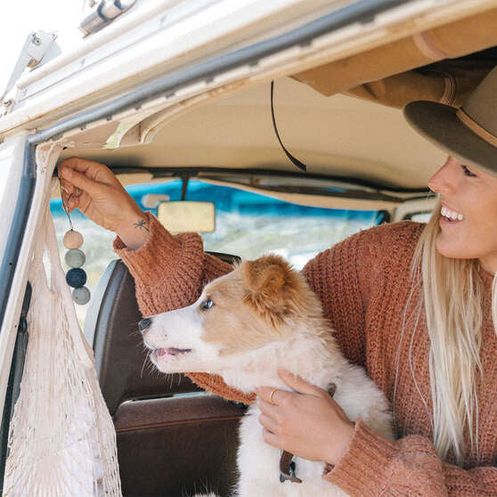 Smelly Balls Cove Set - Coastal Drift