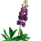 Lupin Spray -  choose from 4 colours