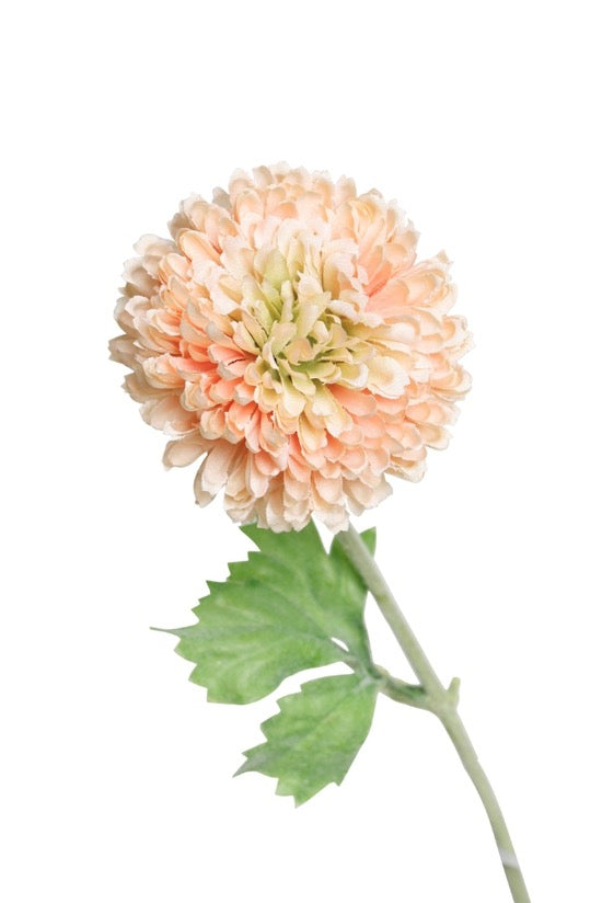 Mum Spray Peach