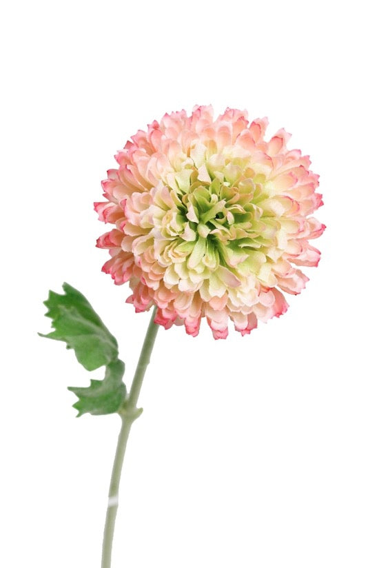 Mum Spray Cream/Pink