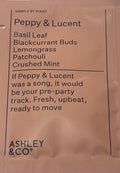 Ashley & Co Soft Locks Conditioner 10ml sachet sample