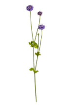 Pompom Sp x4 Purple 59cm