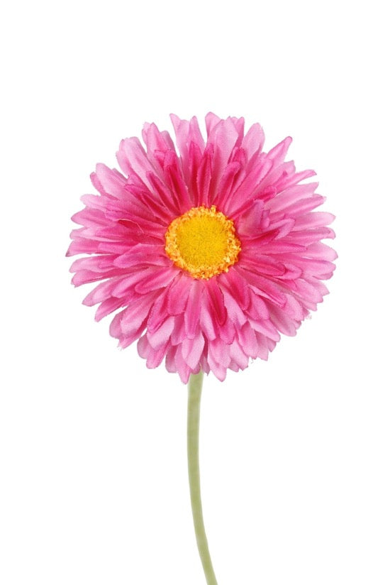 Single Mini Gerbera - Pink