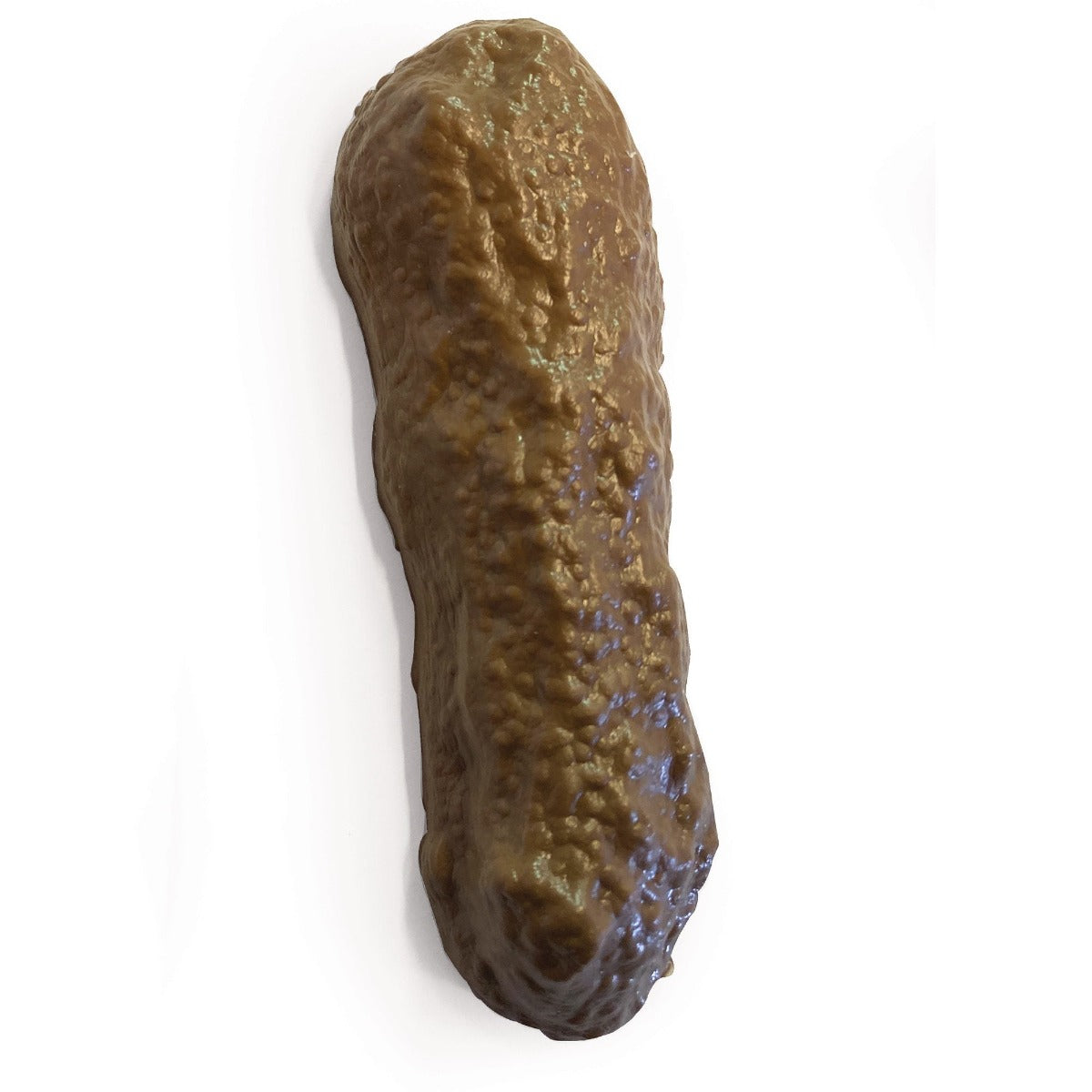 DOG POOP PRACTICAL JOKE