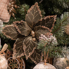 Moss Green Poinsettia