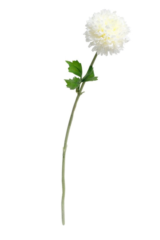 Mum Spray White
