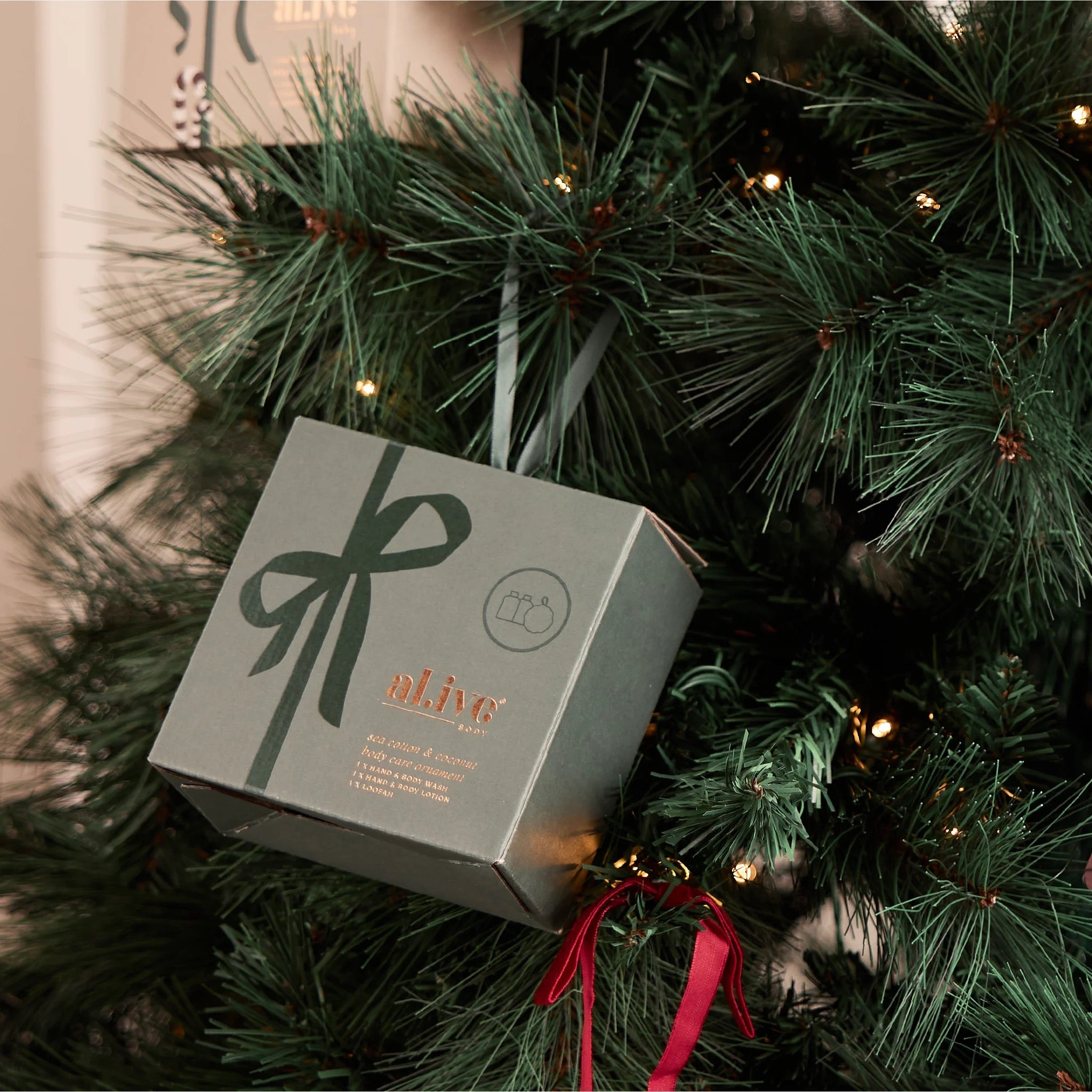 Alive Body - Body Care Ornament - Sea Cotton & Coconut