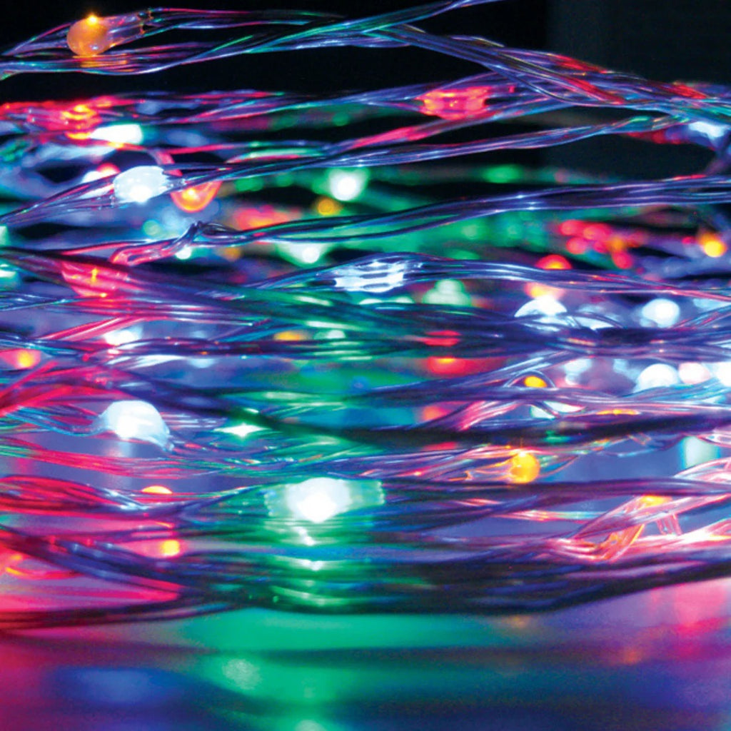 20m Plug In Seed Lights -Rainbow