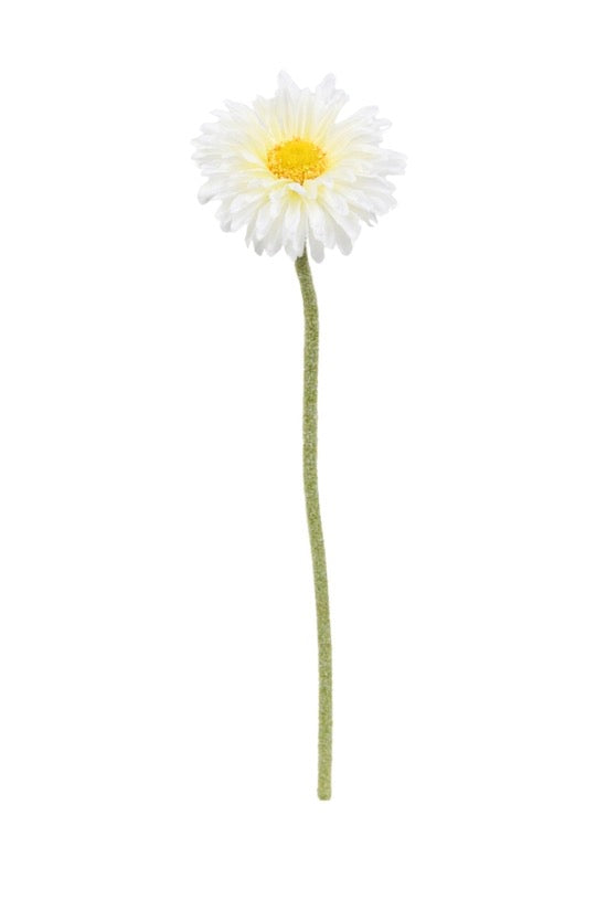 Single Mini Gerbera - White