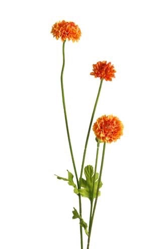 Pompom Sp x4 Orange 59cm