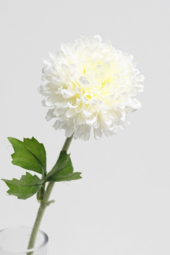 Mum Spray White