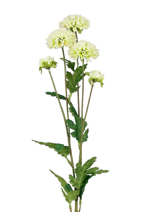 PomPom Mum Spray 68cm Green