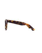Daily Eyewear 11am Brown Tort