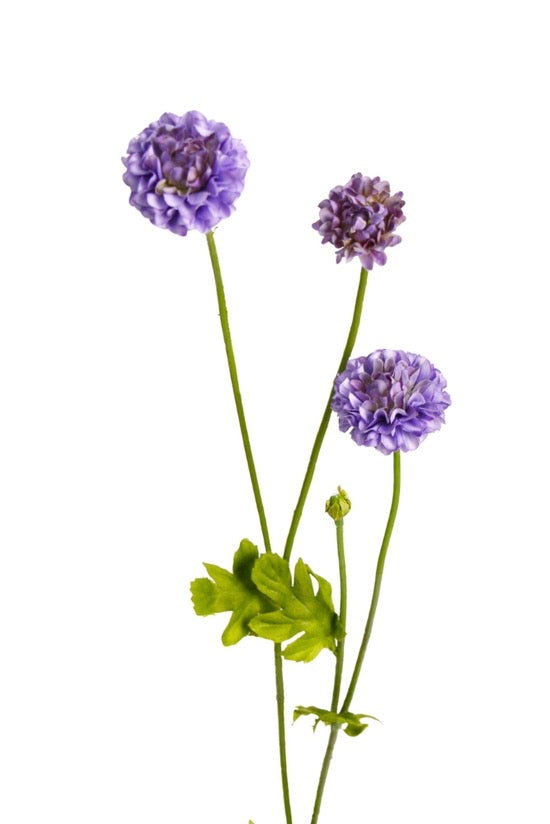 Pompom Sp x4 Purple 59cm