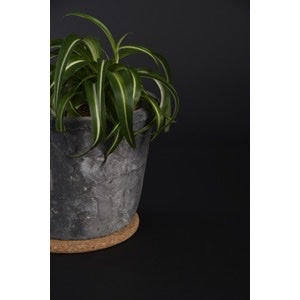 Cork Trivet/Saucer/Coaster - various sizes