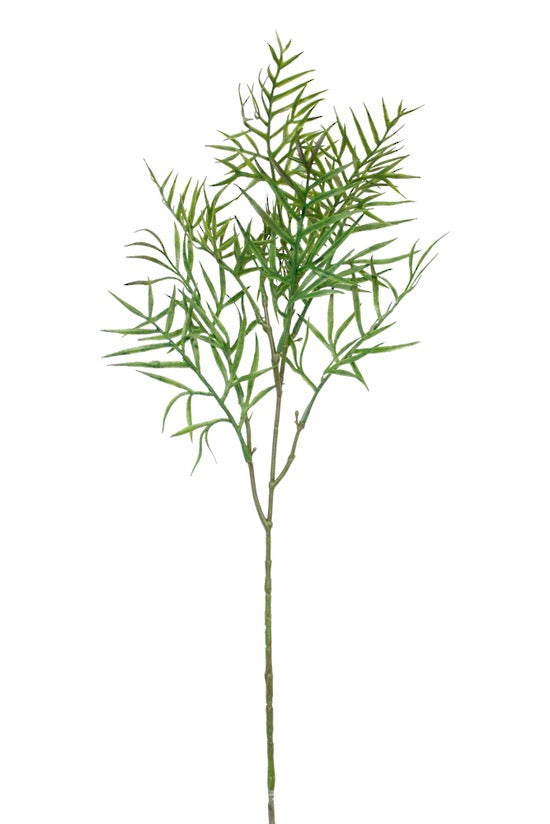 Grevilliea Leaf Spray 60cm