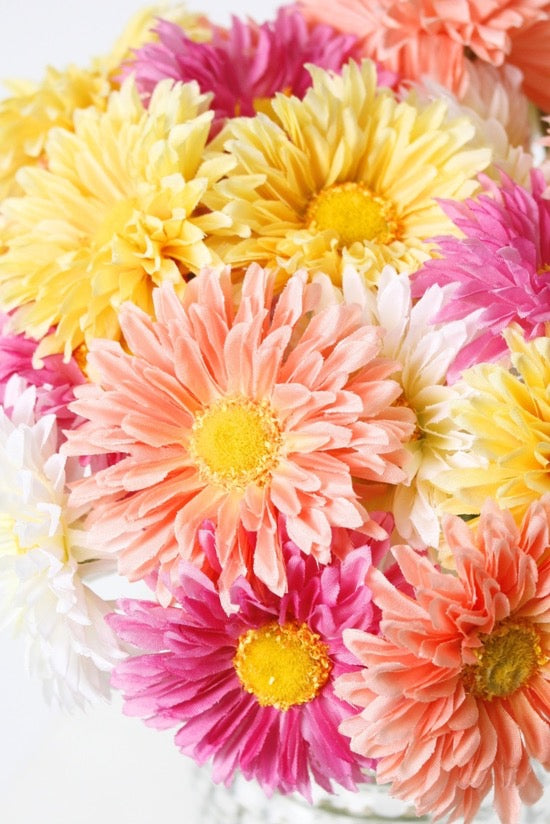 Single Mini Gerbera - Peach