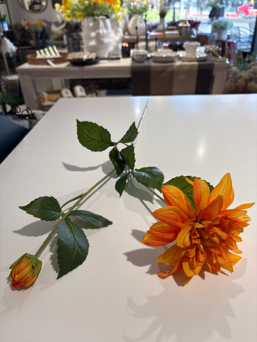 Carmen Dahlia Orange/Yellow
