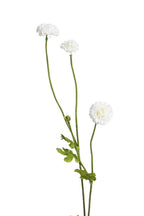 Pompom Sp x4 White 59cm