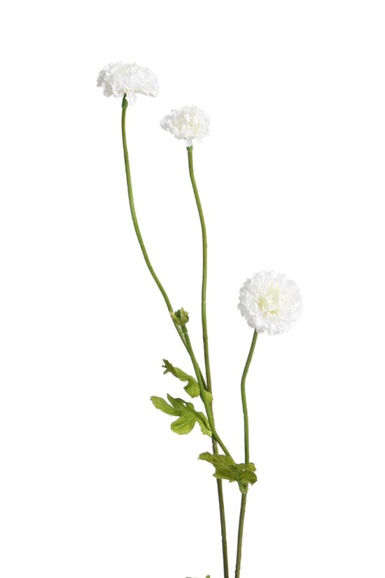Pompom Sp x4 White 59cm