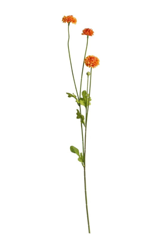 Pompom Sp x4 Orange 59cm