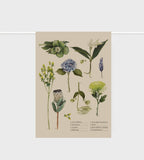 Father Rabbit Tea Towel - Botanical Collection
