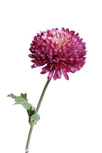 Mum Spray Beauty