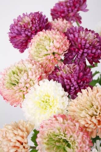 Mum Spray Cream/Pink