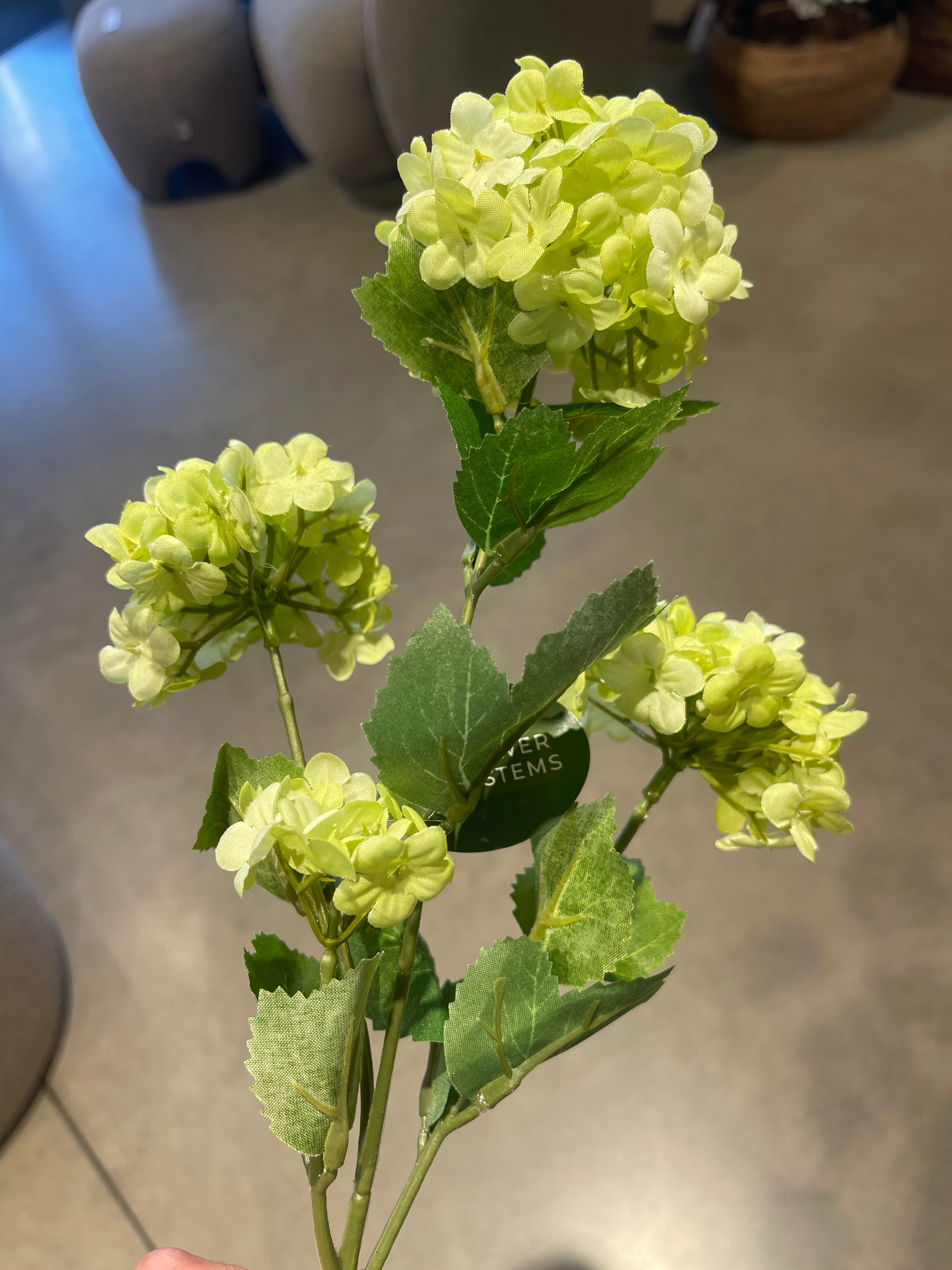 Snowball Spray Green