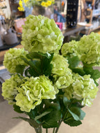 Snowball Spray Green