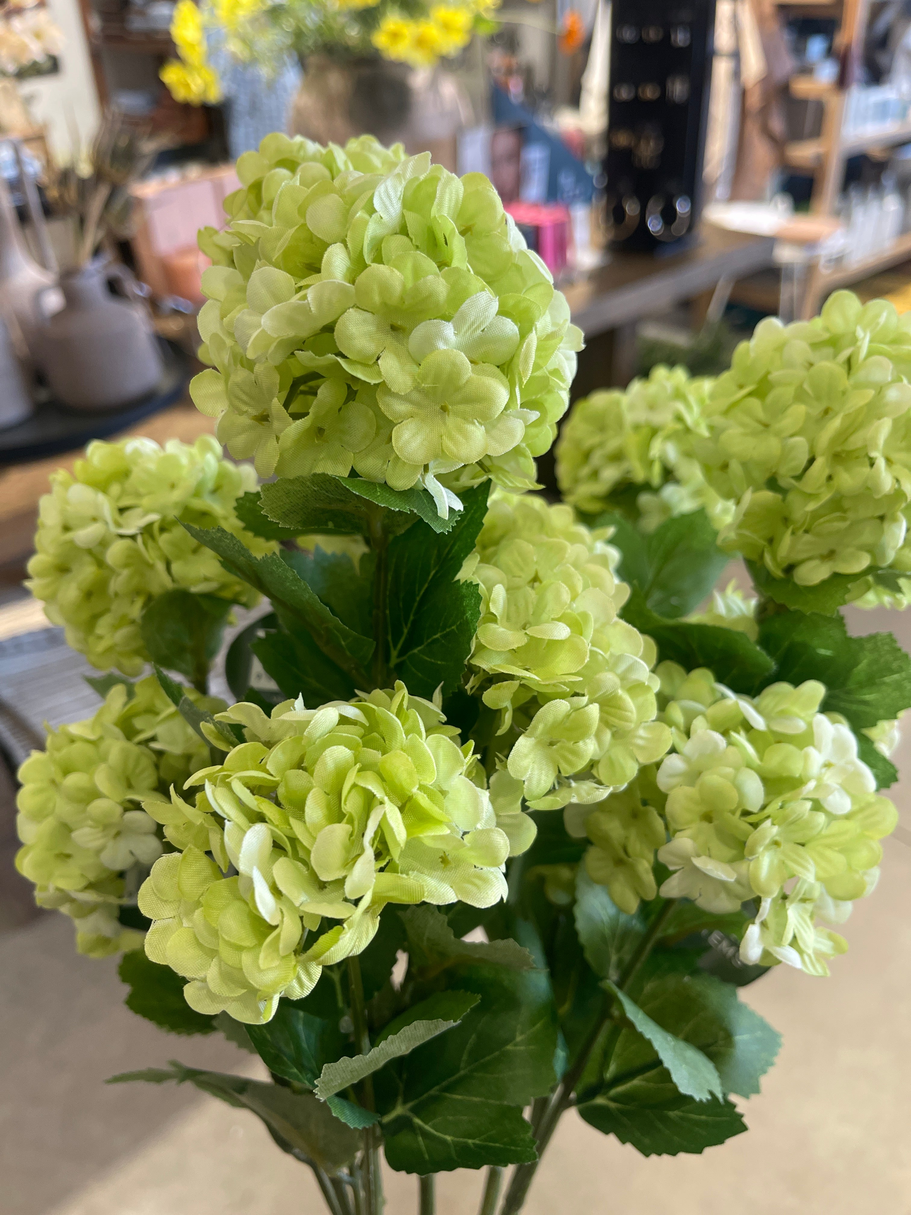 Snowball Spray Green