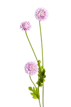 Pompom Sp x4 Lilac 59cm