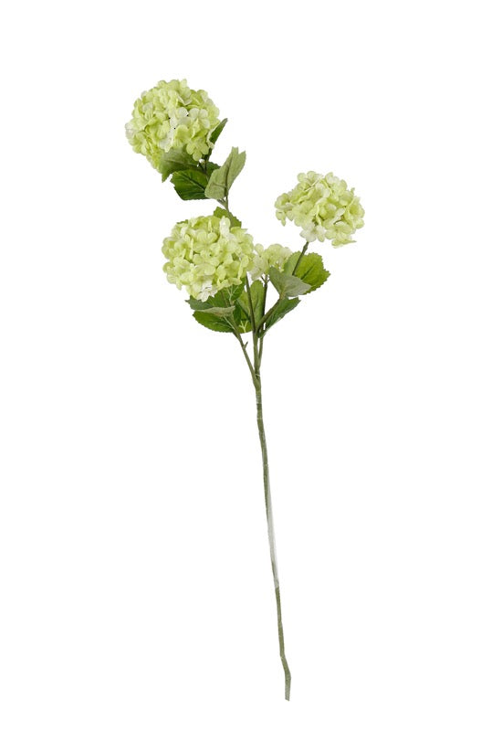 Snowball Spray Green