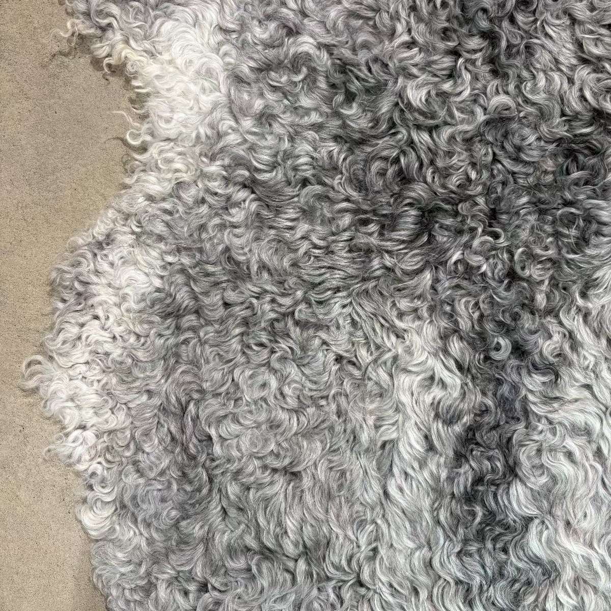 THREE STICKS GOTLAND SHEEPSKIN - shorthaired