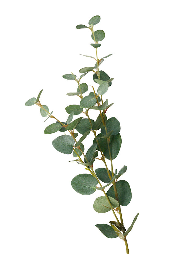 Eucalyptus Spray Green 80cm
