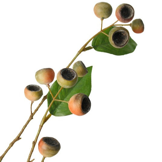 Medlar Branch Orange