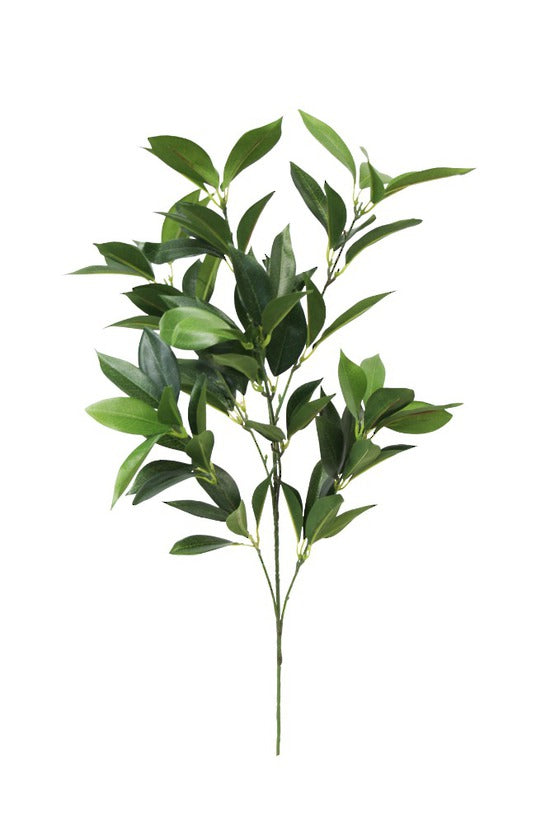 Shikiba Spray small 60cm