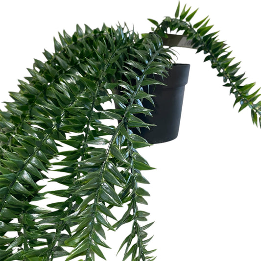 Coarse Tassel Fern Hanging Potted 71cm