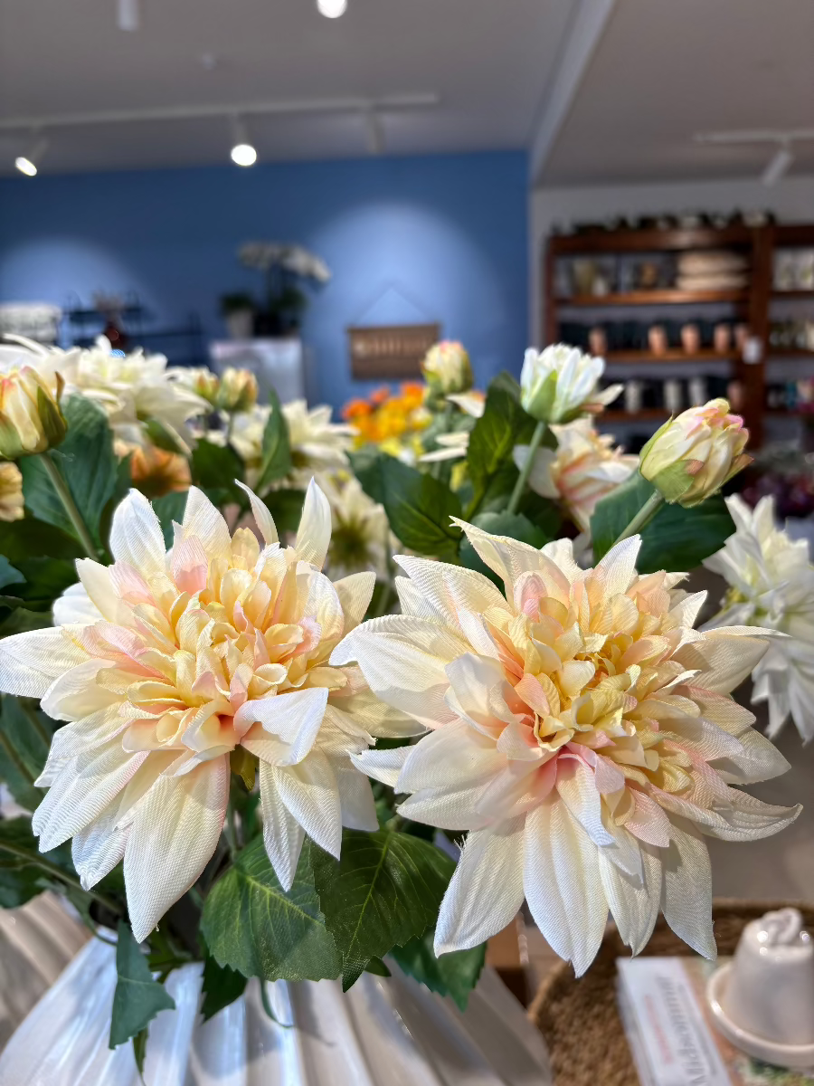 Carmen Dahlia Yellow/Pink