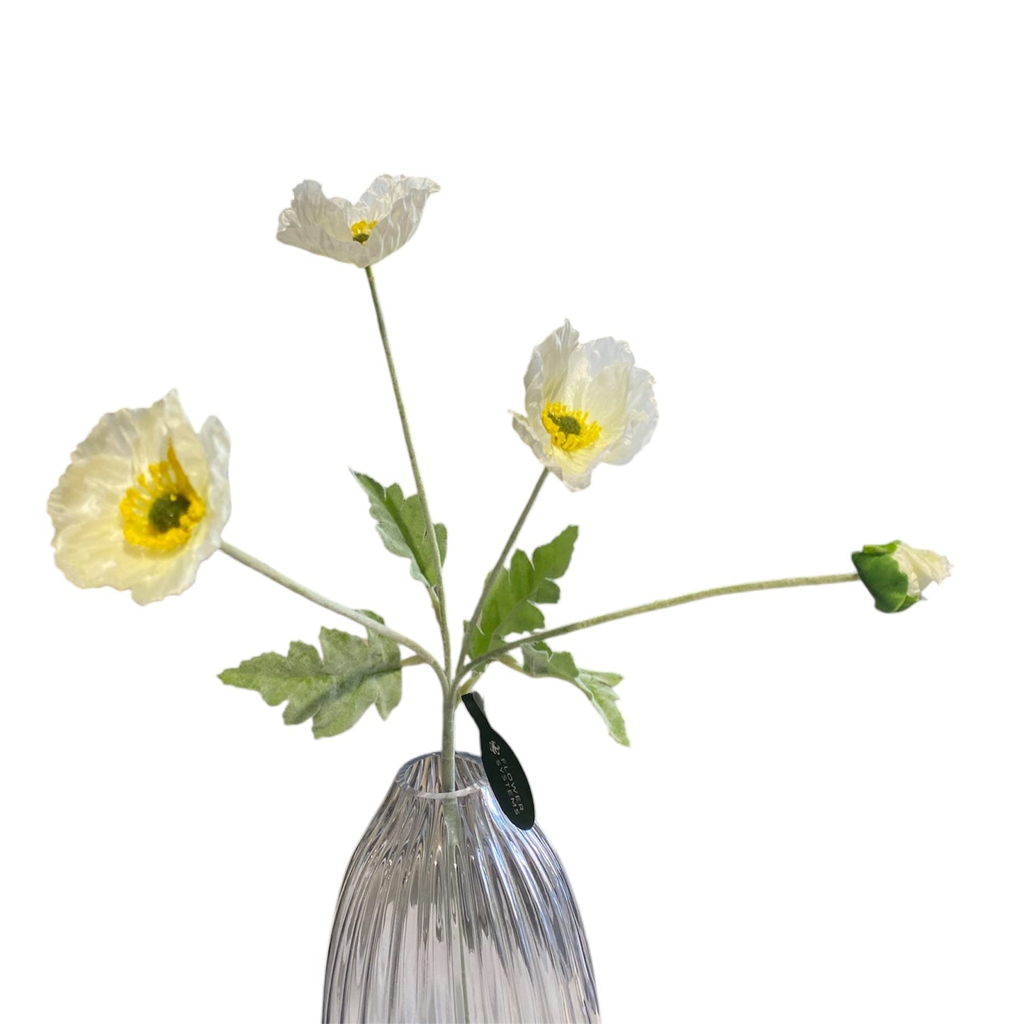 Iceland Poppy Spray 62cm White