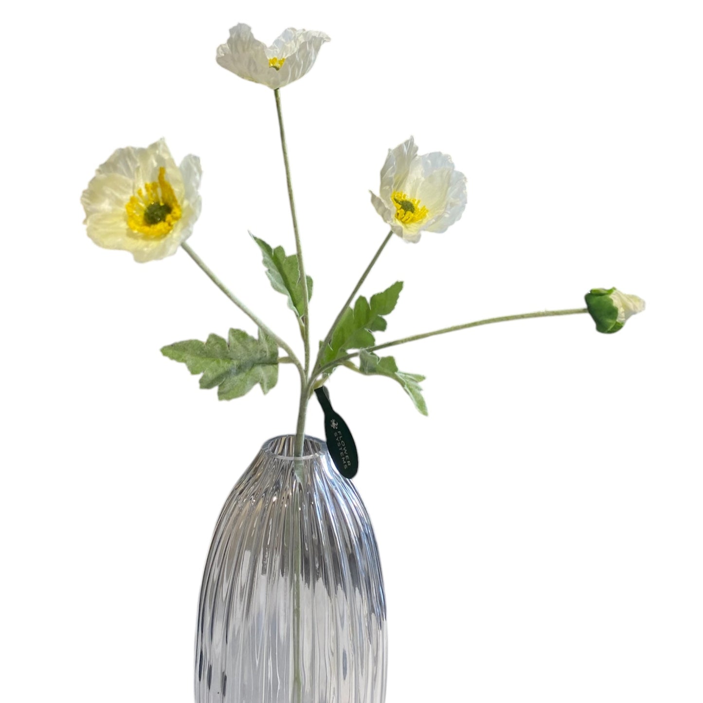 Iceland Poppy Spray 62cm White