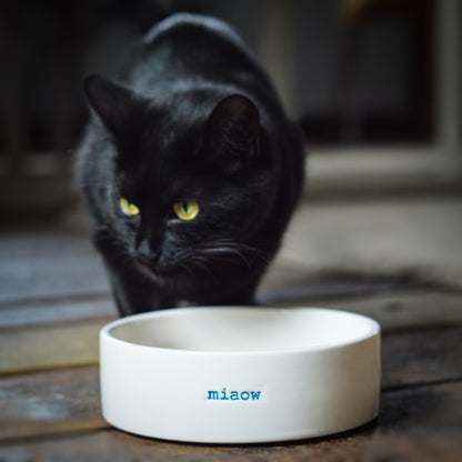 Pet Bowl - miaow