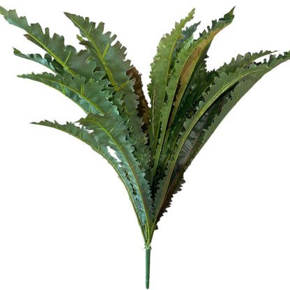 Margarintum Fern Bush 61cm