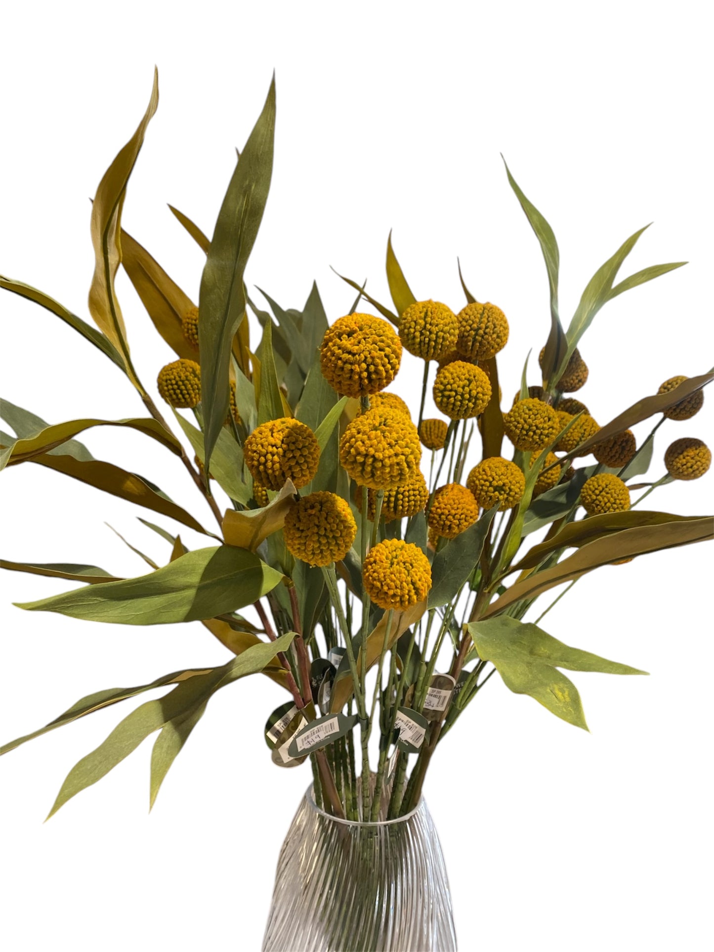 Billy Buttons Spray 70cm