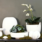 Rene 2 Handle Planter - White