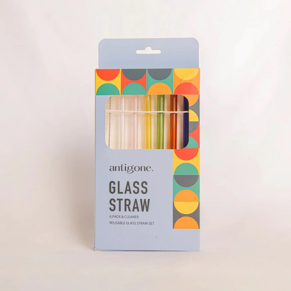 Reusable Glass Straws Set of 6 - Straight Multi