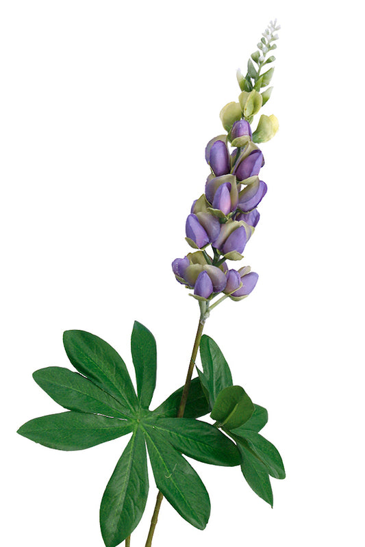Lupin Spray -  choose from 4 colours